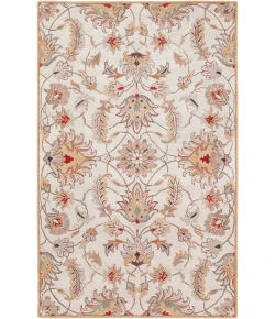 Livabliss Caesar CAE1029 Blush Camel Area Rug 2 ft. X 4 ft. Hearth