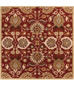 Livabliss Caesar CAE1061 Burgundy Taupe Area Rug 6 ft. Square