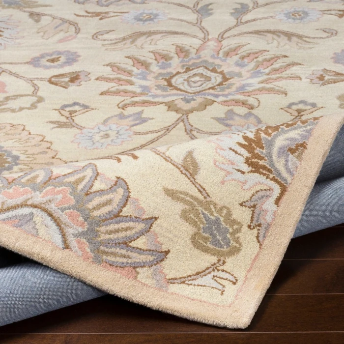Livabliss Caesar CAE-1109-5x8 rug