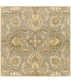 Livabliss Caesar CAE1111 Medium Gray Dark Green Area Rug 8 ft. Square