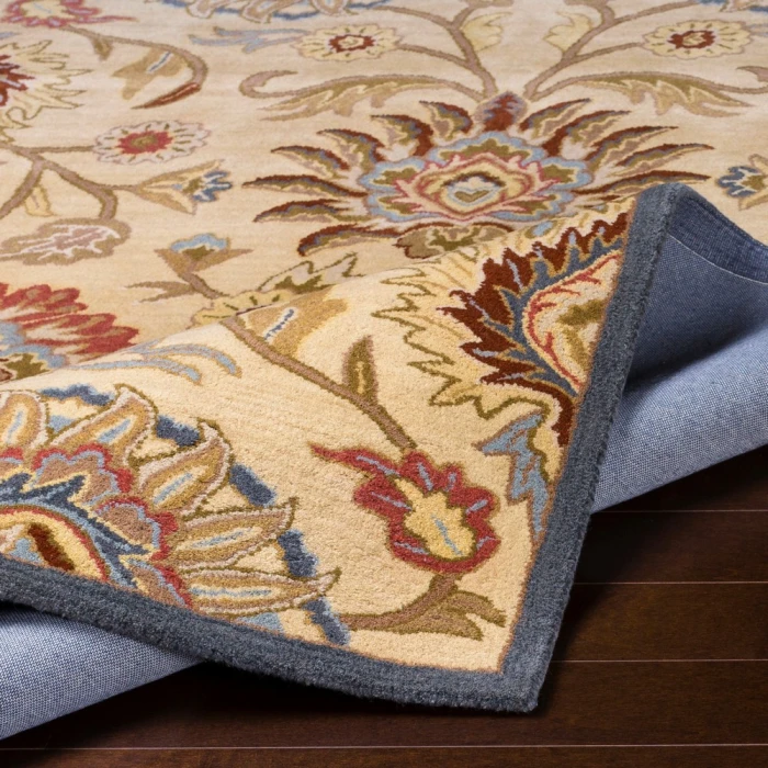 Livabliss Caesar CAE-1116-5x8 rug