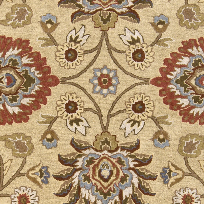 Livabliss Caesar CAE-1116-5x8 rug
