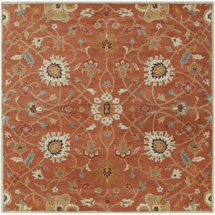 Livabliss Caesar CAE-1119-4SQUARE rug