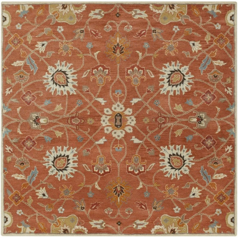 Livabliss Caesar CAE-1119-6SQUARE rug