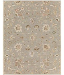 Livabliss Caesar CAE1121 Khaki Medium Gray Area Rug 7 ft. 6 in. X 9 ft. 6 in. Rectangle