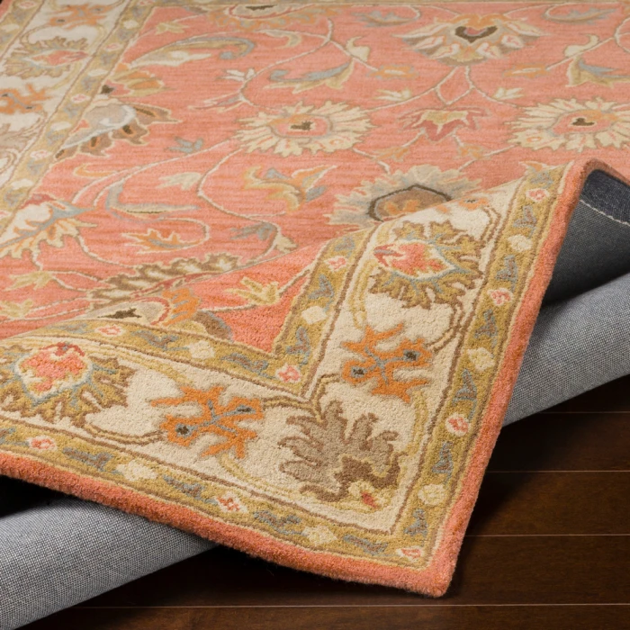 Livabliss Caesar CAE-1124-4x6 rug