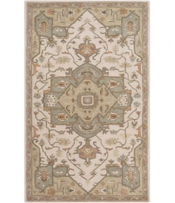 Livabliss Caesar CAE1143 Khaki Medium Gray Area Rug 2 ft. X 4 ft. Hearth