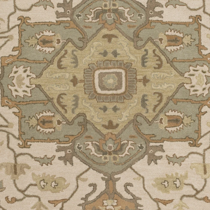Livabliss Caesar CAE-1143-6ROUND rug