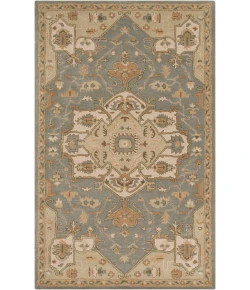 Livabliss Caesar CAE1144 Medium Gray Khaki Area Rug 2 ft. X 4 ft. Hearth