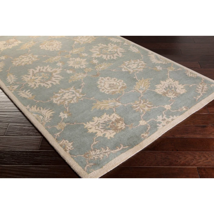 Surya Caesar CAE-1156-6SQUARE rug