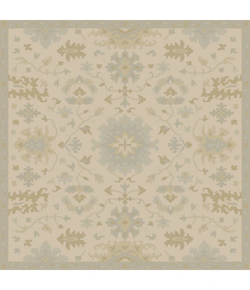 Livabliss Caesar CAE-1161-8SQUARE rug
