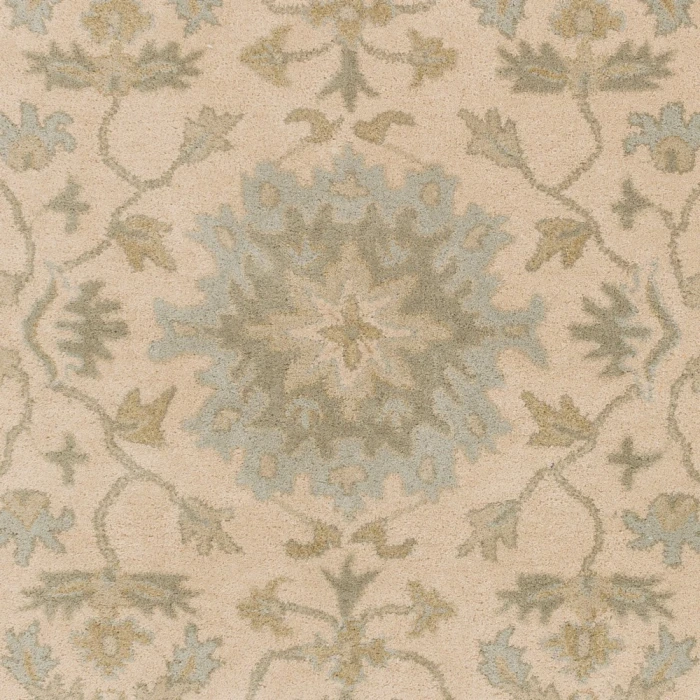 Livabliss Caesar CAE-1161-6ROUND rug