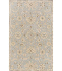 Livabliss Caesar CAE1162 Light Gray Beige Area Rug 2 ft. X 4 ft. Hearth