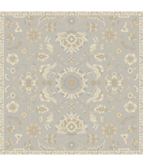 Livabliss Caesar CAE-1162-4x6 rug