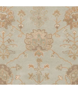 Surya Caesar Sage CAE-1163 8ft. x 10ft. Oval Rug