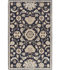 Livabliss Caesar CAE1164 Ink Beige Area Rug 2 ft. X 4 ft. Hearth