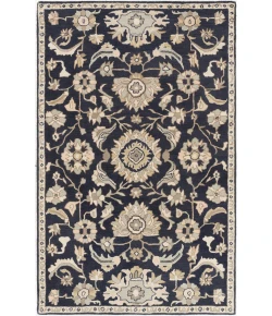 Livabliss Caesar CAE1164 Ink Beige Area Rug 4 ft. X 6 ft. Rectangle