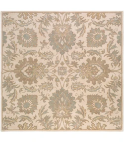 Surya Caesar Beige CAE-1177 4ft. x 4ft. Square Rug