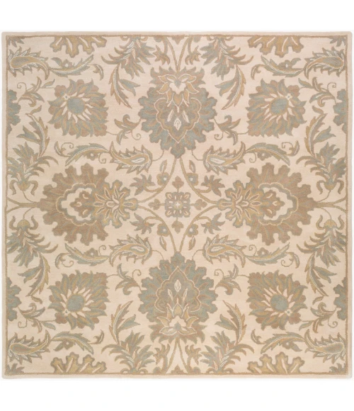Surya Caesar Beige CAE-1177 4ft. x 4ft. Square Rug