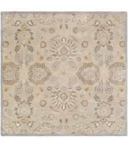 Livabliss Caesar CAE1192 Light Gray Khaki Area Rug 4 ft. Square