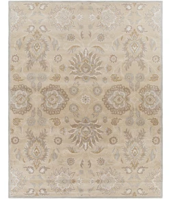 Livabliss Caesar CAE1192 Light Gray Khaki Area Rug 7 ft. 6 in. X 9 ft. 6 in. Rectangle