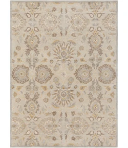 Livabliss Caesar CAE1192 Light Gray Khaki Area Rug 8 ft. X 11 ft. Rectangle