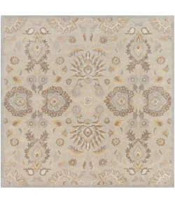 Livabliss Caesar CAE1192 Light Gray Khaki Area Rug 8 ft. Square