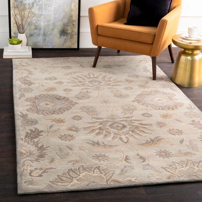 Livabliss Caesar CAE-1192-5x8 rug