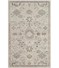 Livabliss Caesar CAE1197 Taupe Charcoal Area Rug 12 ft. X 18 ft. Rectangle