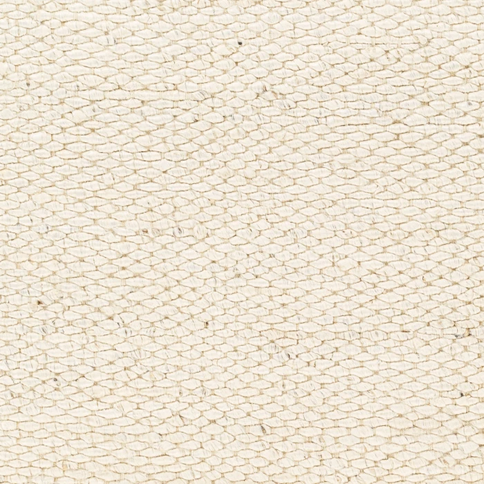 Surya Coil Bleached Rug CBU2300