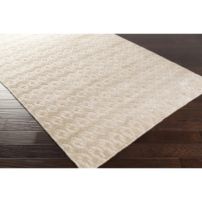 Surya Castlebury CBY-7000-33x53 rug