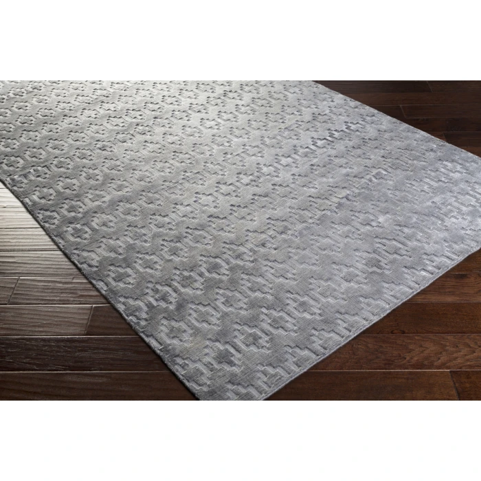 Surya Castlebury CBY-7005-2x3 rug