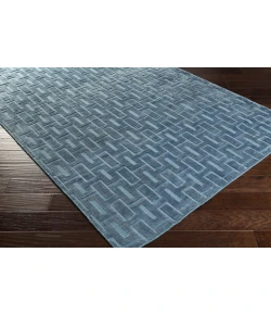 Surya Castlebury CBY7007 Sky Blue Area Rug 3 ft. 3 in. X 5 ft. 3 in. Rectangle