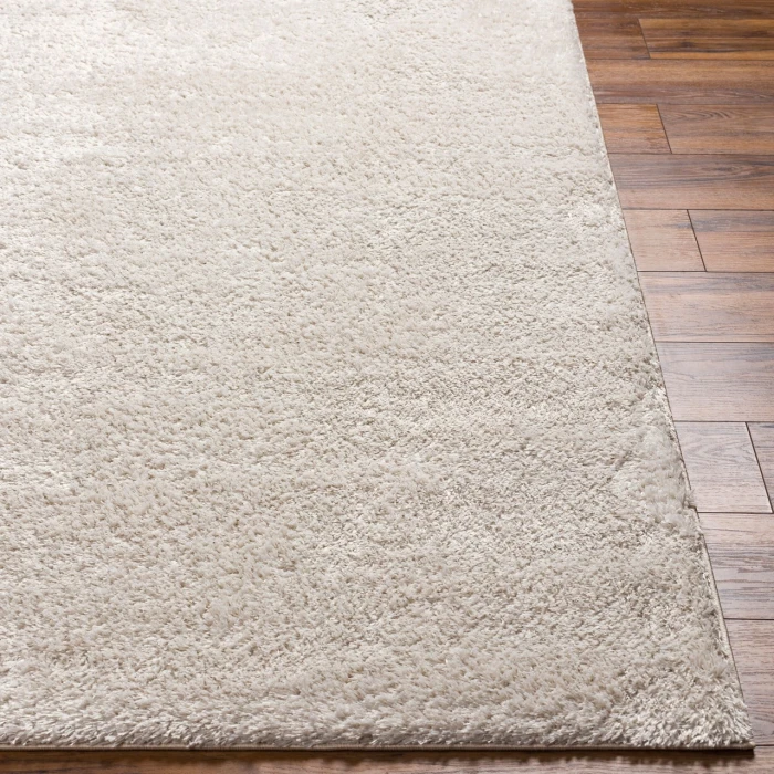 LIVABLISS Cloudy Shag Light Beige CDG-2301 3ft.11in. x 5ft.7in. Rect. Rug