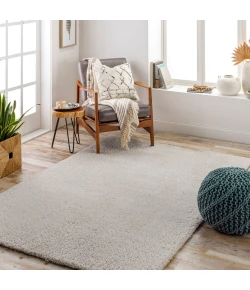 LIVABLISS Cloudy Shag Light Beige CDG-2301 3ft.11in. x 5ft.7in. Rect. Rug