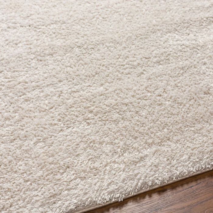 Livabliss Cloudy Shag Rug CDG2301