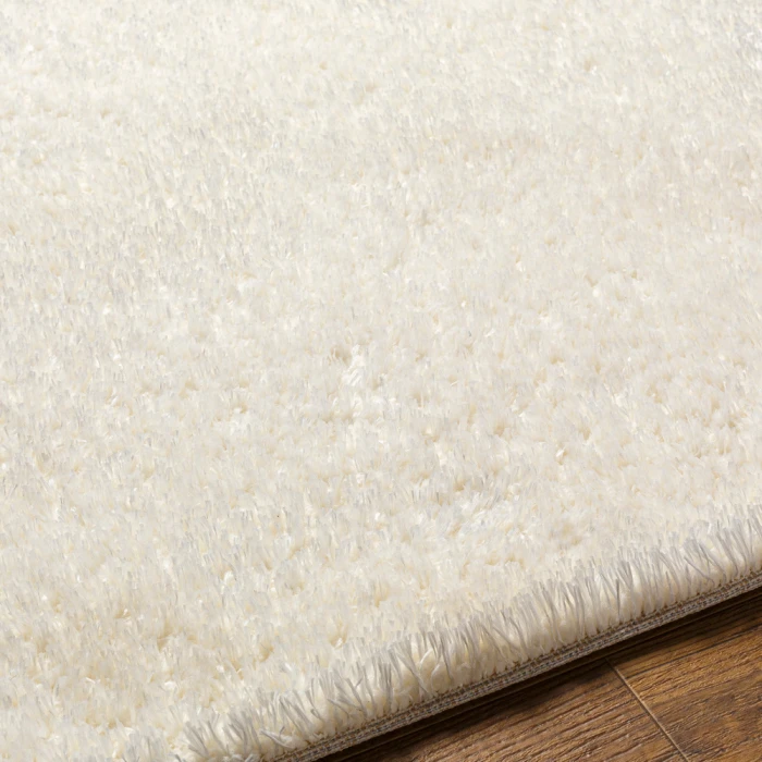 Livabliss Cloudy Shag Rug CDG2302
