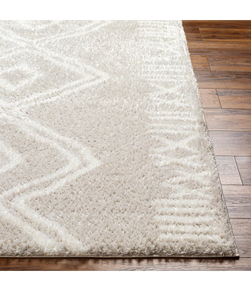 Livabliss Cloudy Shag Rug CDG2311