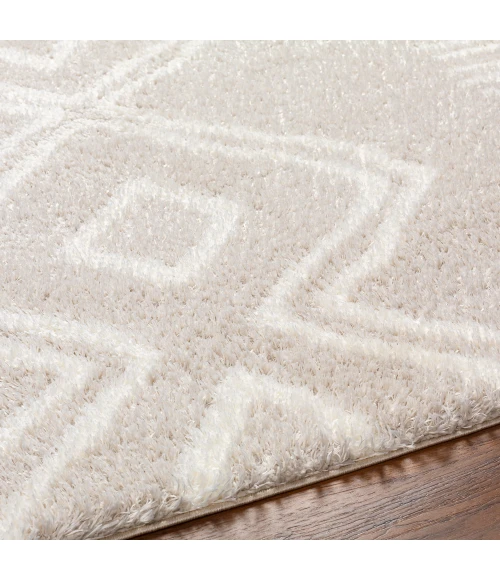 Livabliss Cloudy Shag Rug CDG2311