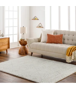 Livabliss Cloudy Shag CDG2319 Light Grey Beige Area Rug 6 ft. 7 in. X 9 ft. Rectangle