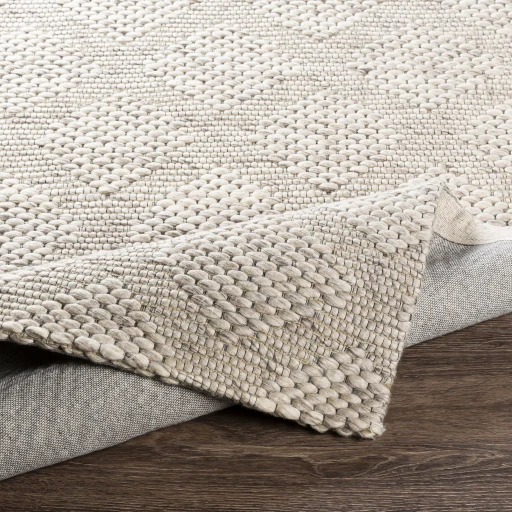 Surya Colarado CDO-2301 2  x 3  Rug