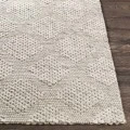 Surya Colarado CDO-2301 2  x 3  Rug