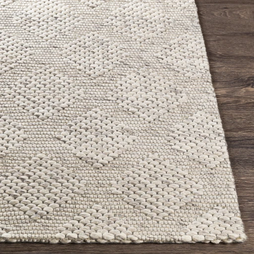 Surya Colarado CDO-2301 2  x 3  Rug