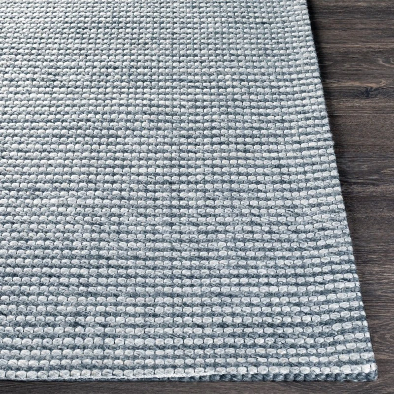 Surya Colarado CDO-2303 8 10 x 12  Rug