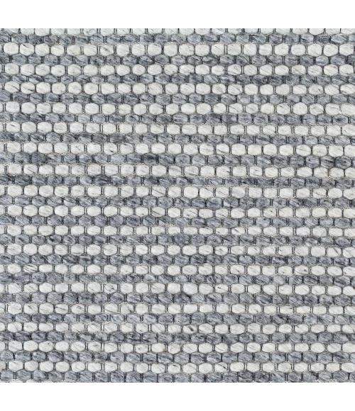Surya Colarado CDO-2303 8 10 x 12  Rug