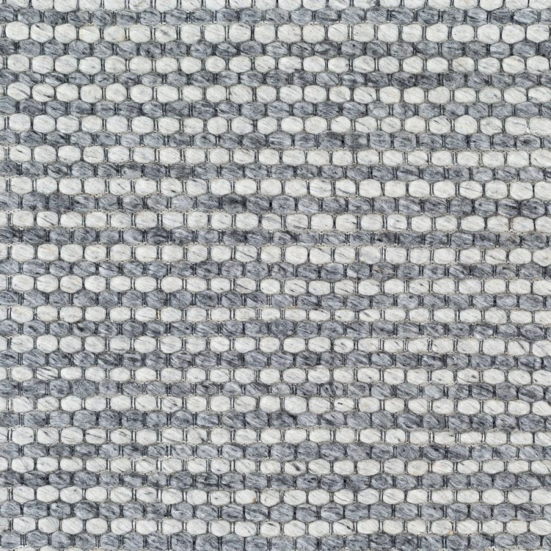 Surya Colarado CDO-2303 8 10 x 12  Rug