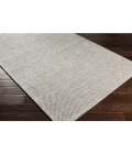 Surya Colarado CDO-2304 2  x 3  Rug