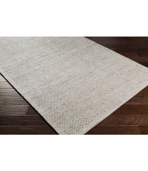 Surya Colarado CDO-2304 2  x 3  Rug