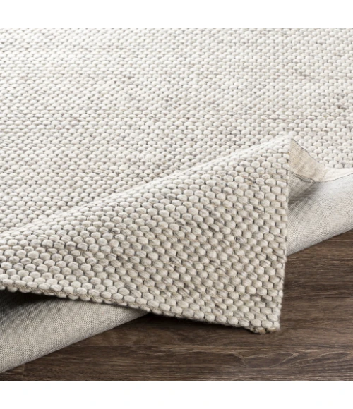 Surya Colarado CDO-2304 2  x 3  Rug