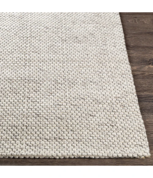 Surya Colarado CDO-2304 2  x 3  Rug
